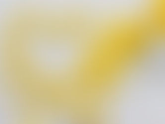 MDMAが協力を促進するかもしれない