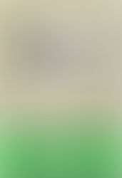 実体験に基づく強迫性障害克服の鉄則35　田村浩二著