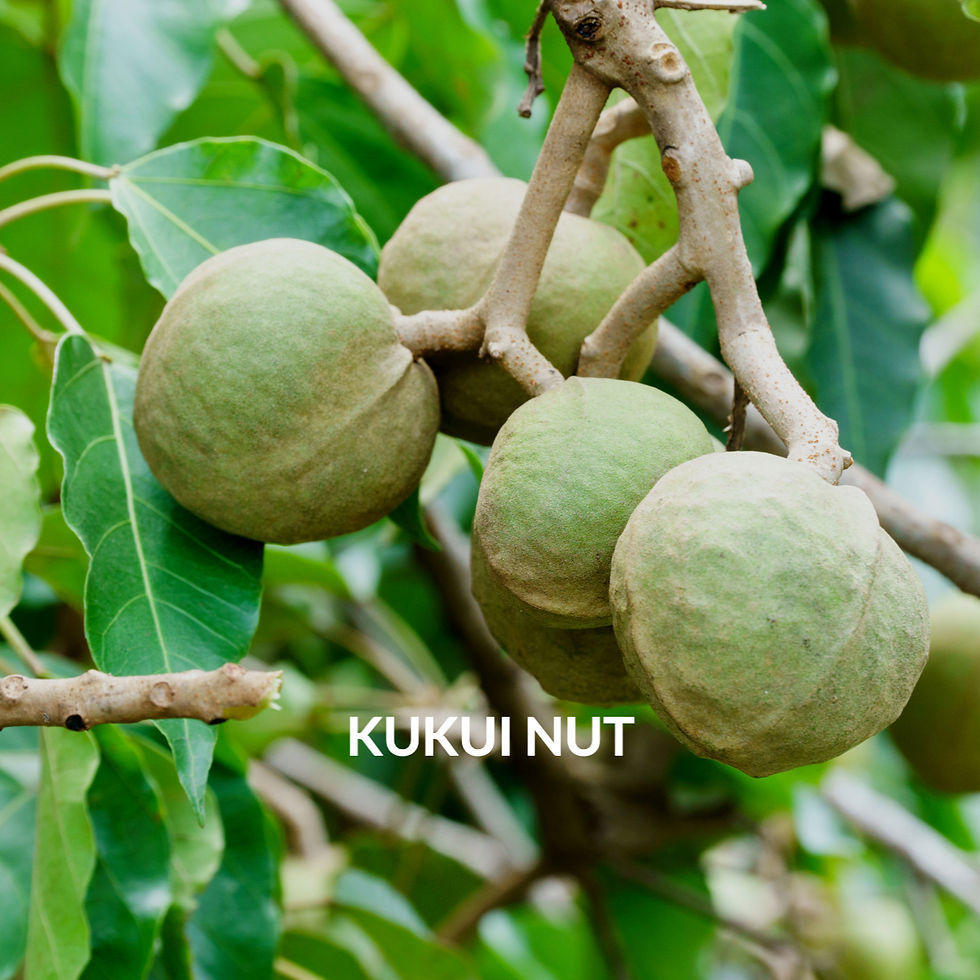 Thumbnail: INTENSIVE HAND BALM