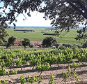 20200608_181955.jpg