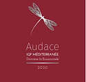 IMAGE AUDACE.jpg