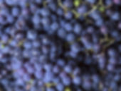 Rebel's Run-Shutterstock9.jpg