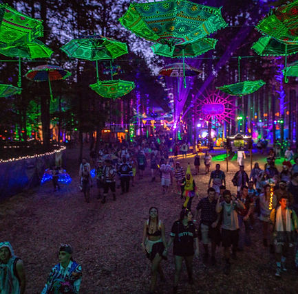 Neux Way. Electric Forest Photo 3.jpeg
