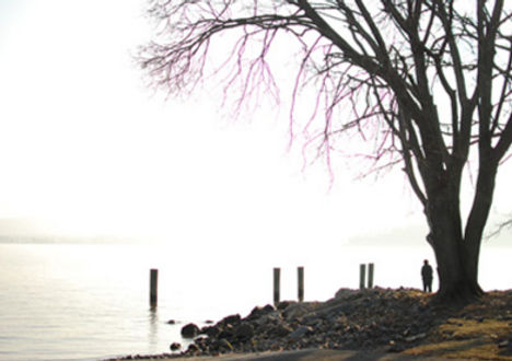 Scott Levine_instagram_edited.jpg