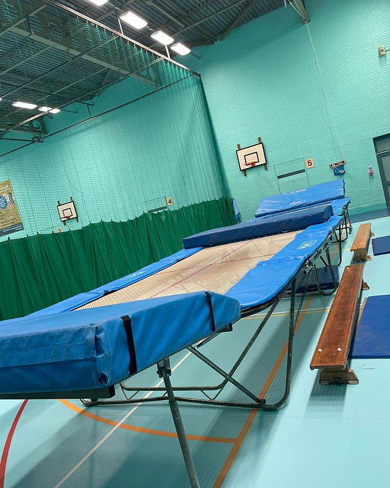 Trampolining.jpg