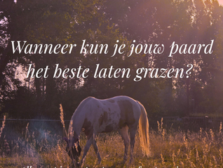 Wanneer kun je jouw paard het beste laten grazen? Alles wat je moet weten over fructaan in gras