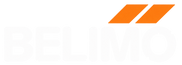 Belimo Logo with Orange Twin Stripes.png