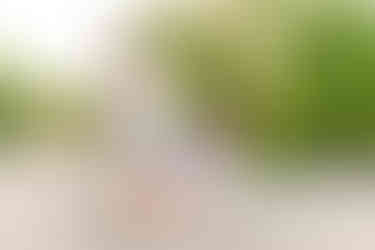 Family of four laughing in natural setting