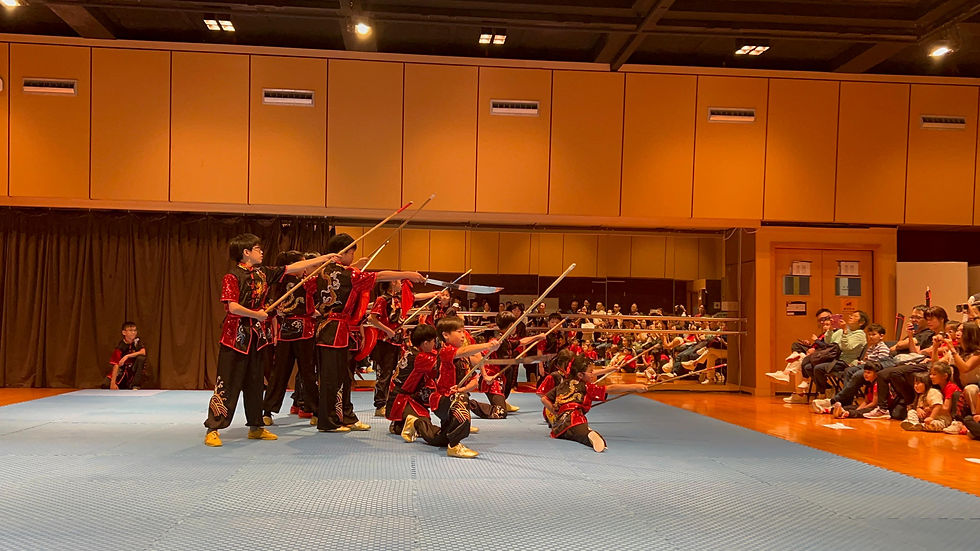 武術表演(典禮)