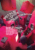 Petals + Guide + Haz + Phantom Image