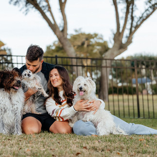 Family of two humans and three dogs sit in their grassy backyard for an outdoor, at-home pet photography session with Wilmington's pet photographer.
