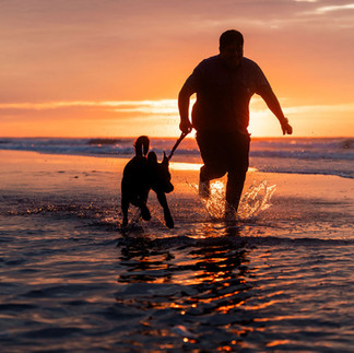 Man and dog on a leash splash in the water at Topsail Island Beach for an outdoor pet photo session with The Photo District at sunset.