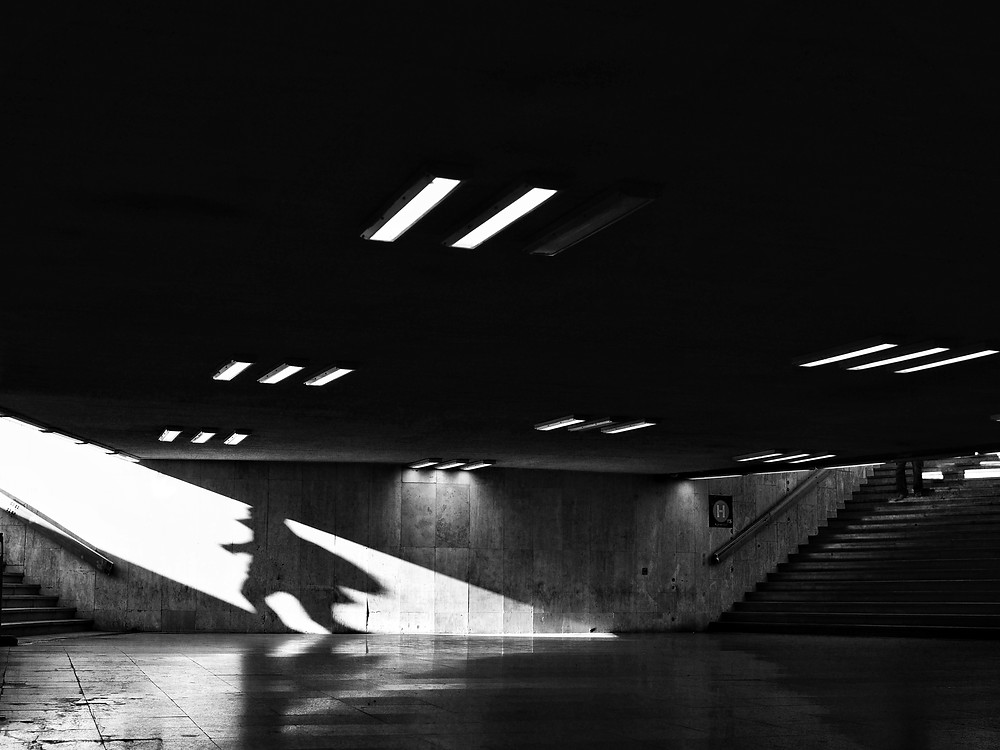 Olympus E-M5 mark II + M. Zuiko 25mm 1:1.8