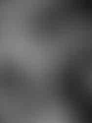 BMI Fotoklub Wien | Bécsi Magyar Iskola