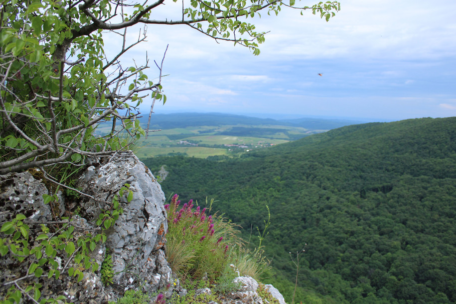 Máté ( 11 éves )