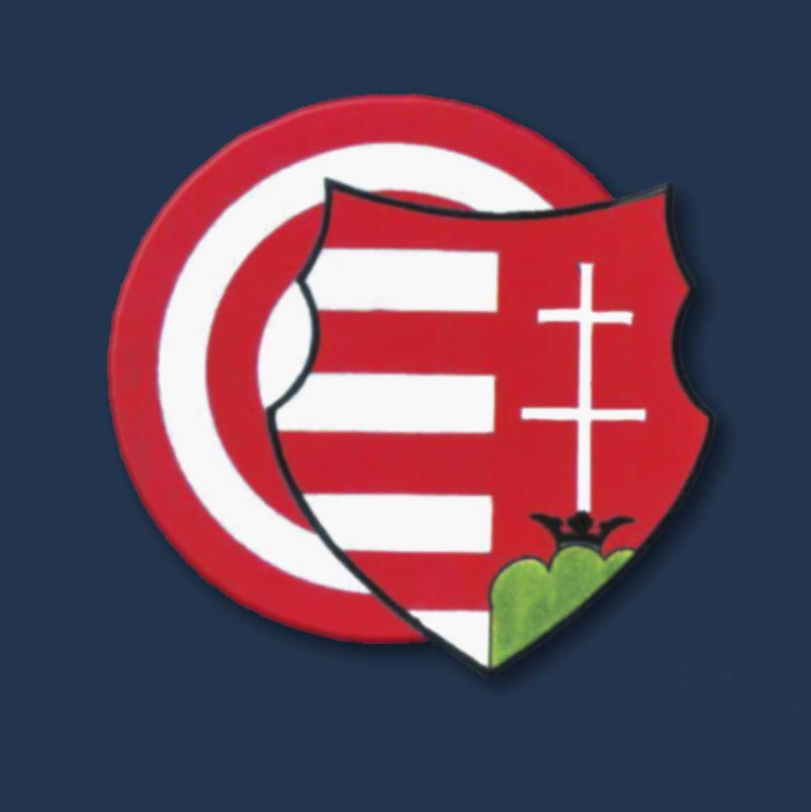 Szerző képe: Molnár Ilona