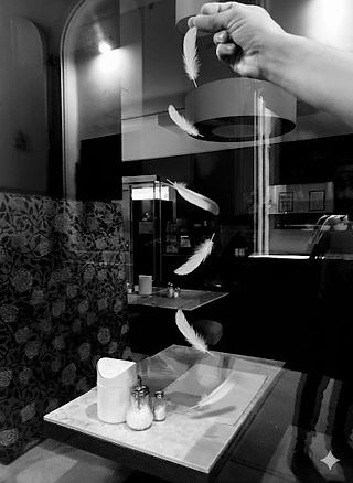 BMI Fotoklub Wien | Bécsi Magyar Iskola