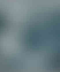 BMI Fotoklub Wien | Bécsi Magyar Iskola