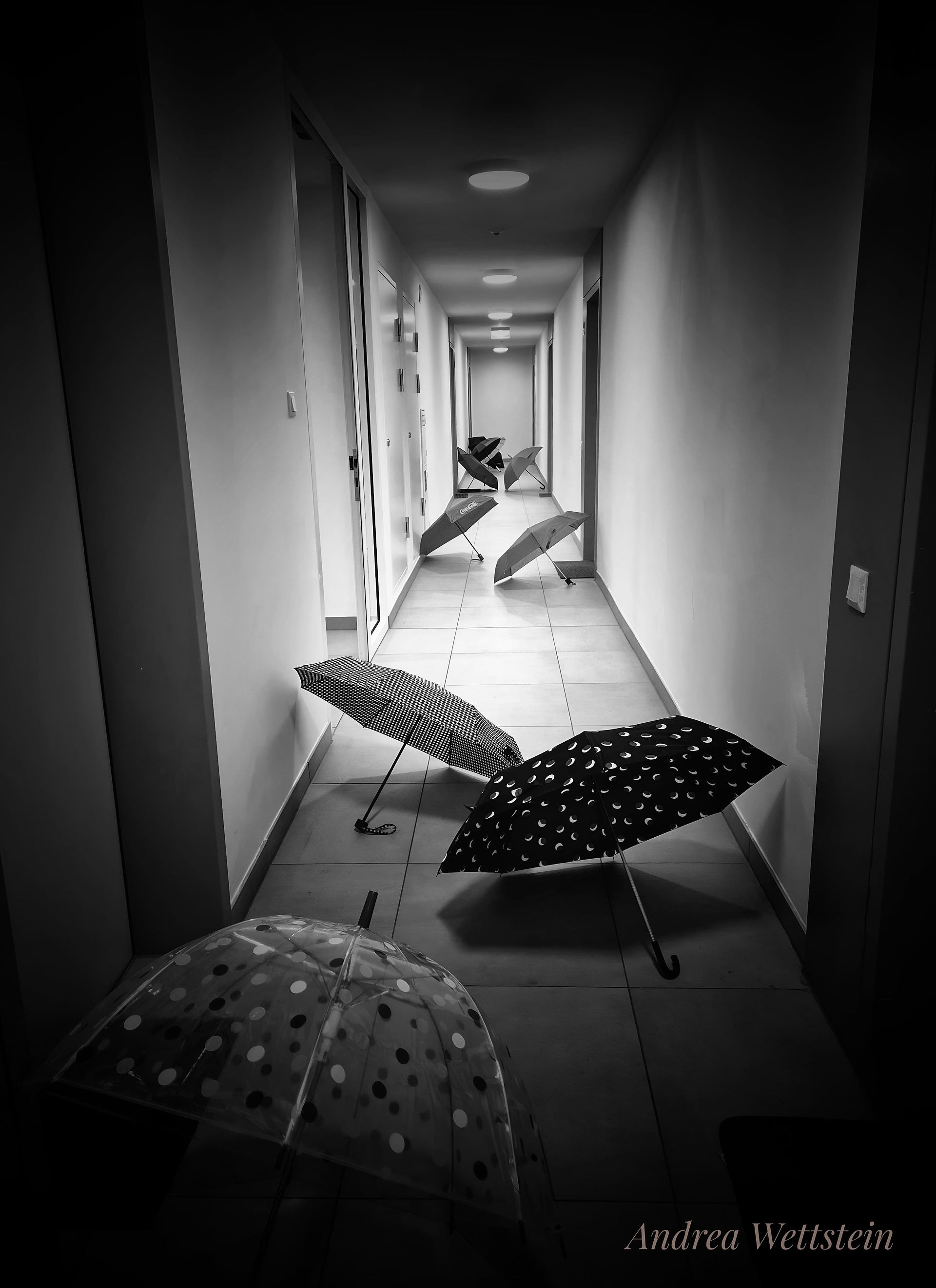 BMI Fotoklub Wien | Bécsi Magyar Iskola