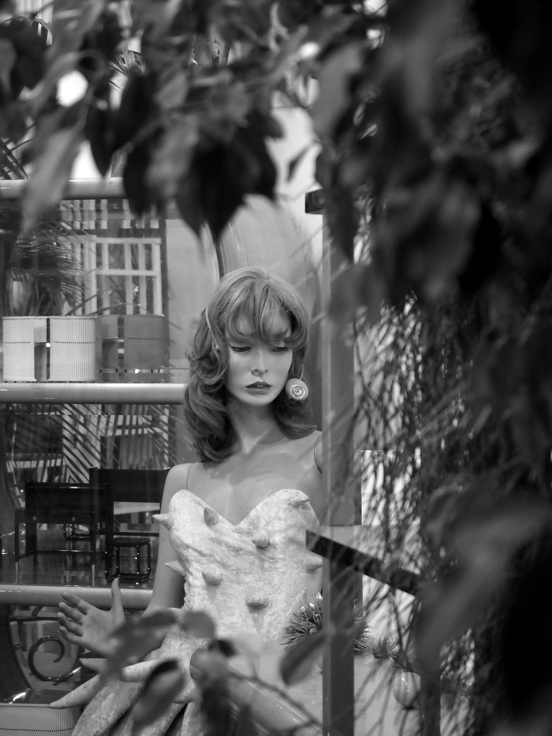 BMI Fotoklub Wien | Bécsi Magyar Iskola