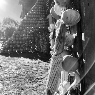 BMI Fotoklub Wien - Bécsi Magyar Iskola