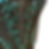 Thumbnail: Size 4-12
