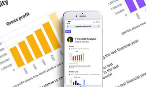 Riskrate Financial Reporting Automation.
