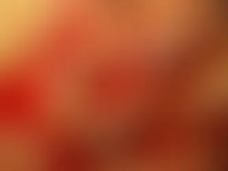 Welcoming the Year of the Snake: A Lunar New Year Reflection on Renewal and Connection
