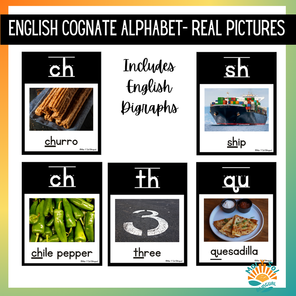 Thumbnail: English Alphabet Cognate Poster Cards with Real pictures First Grade Kinder ESL