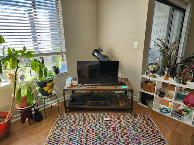 organized living room tech