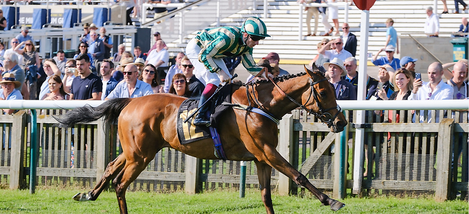 Noodle Mission winning at Newmarket