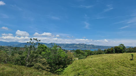 Costa Rica Real Estate Lake Arenal Properties