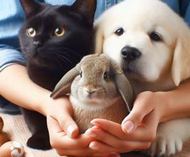 Chat, chien et lapin protégés par des mains de femme