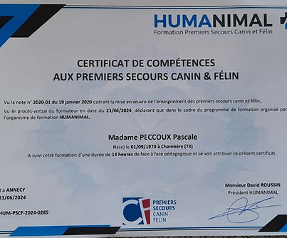 Brevet de 1er secours canin et félin