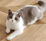 WhatsApp Image 2025-11-05 à 19.14.18_1ec050b9.jpg