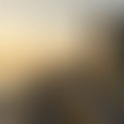 Coastal Road Phase 2: Will Kandivali Real Estate Reach Borivali Levels?