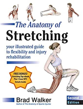 The anatomy of stretching: your illustrated guide to flexibility and injury reha