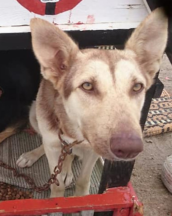 97459511_10157361590978775_5182249406971