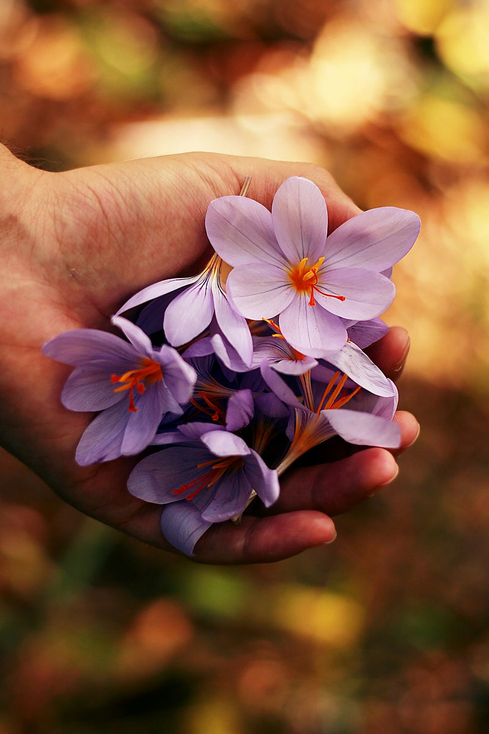 How Taksim Massage Services Can Manage SEO to Attract More Clients