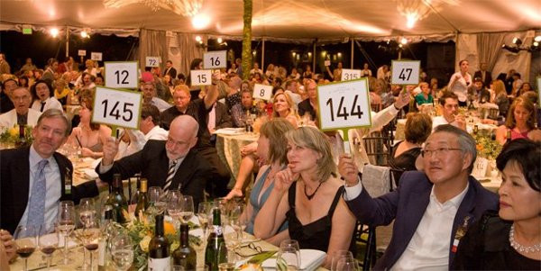 Gala Open Ask with Bid Paddles