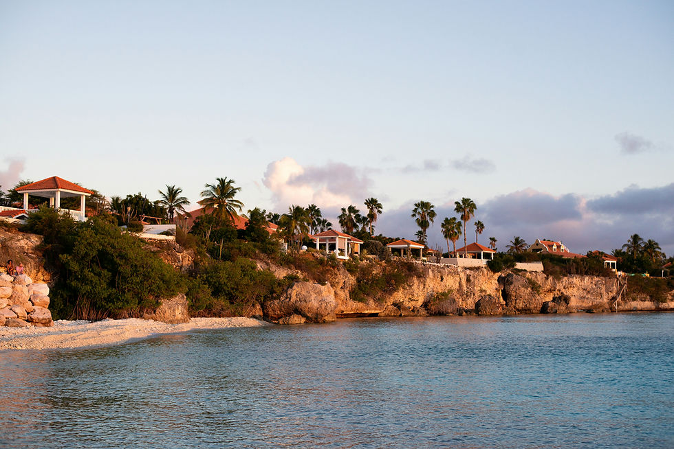 Coastal view at sunset with homes on cliffs, palm trees, and calm water. Soft pink and blue sky creates a serene atmosphere.