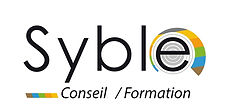 Syble conseil formation -png - Copie (2).jpg