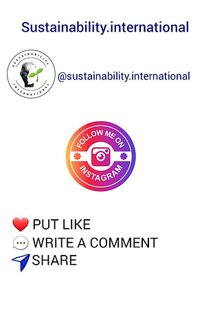  @sustainability.international Instagram