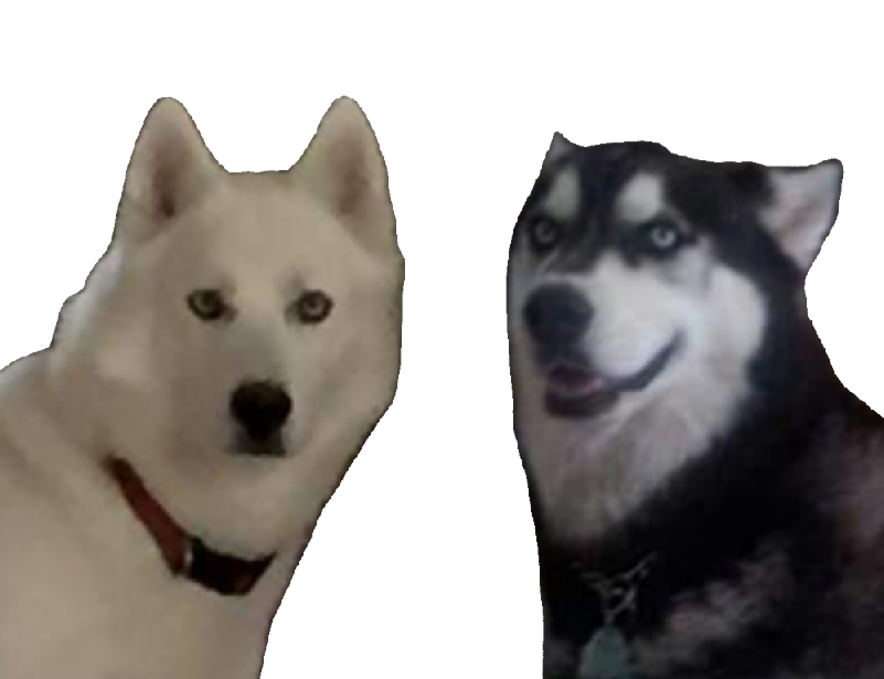 image000000(1).png