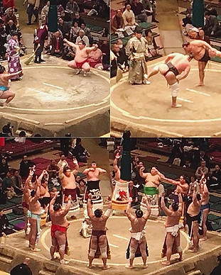 sumo