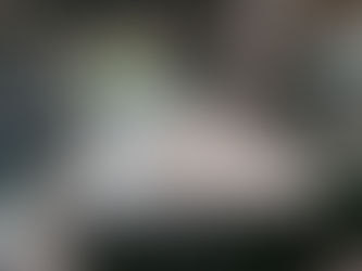 VW Transporter Campervan Bed Sizes Explained (T5, T6 & T6.1, T7)