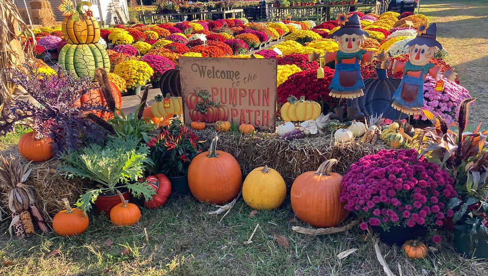 HOME | Huffman Farms