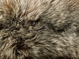 FUR
