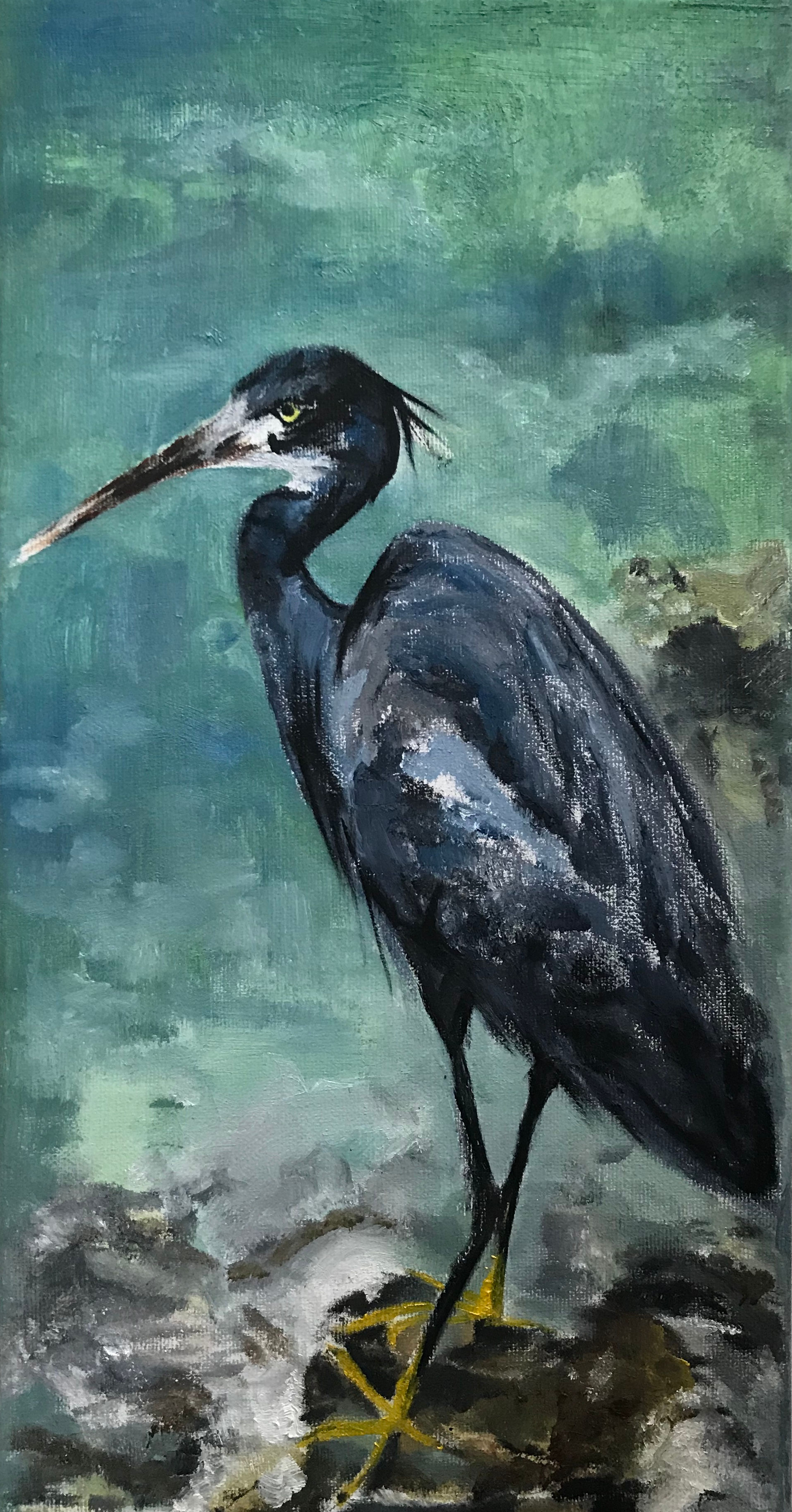 Heron - Oil
