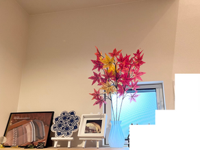 レッスンで嬉しかったこと